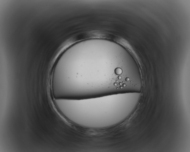 X0000086031235200703230947
