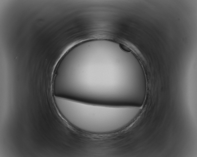 X0000086031236200703230947