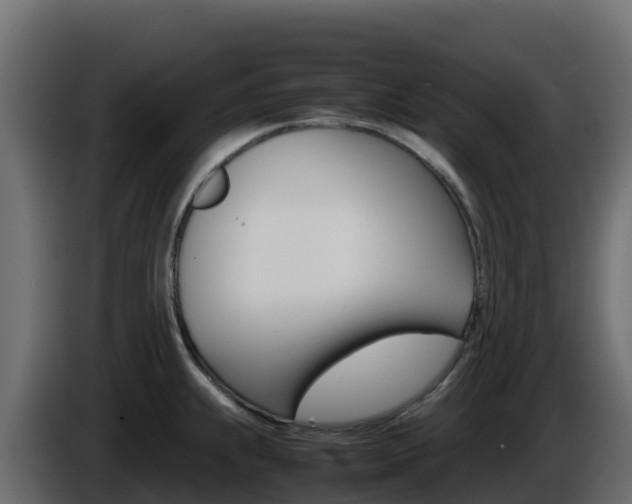 X0000086031239200703230947