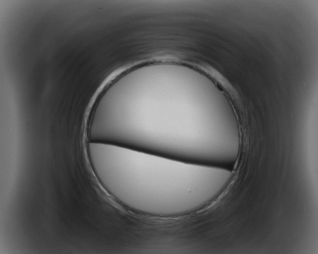 X0000086031240200703230947