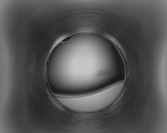 X0000086031242200703230947