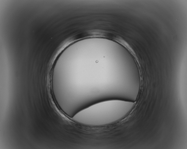 X0000086031243200703230947