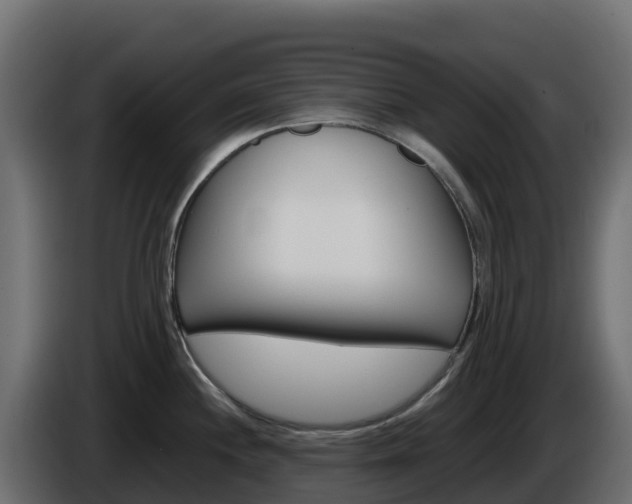 X0000086031244200703230947