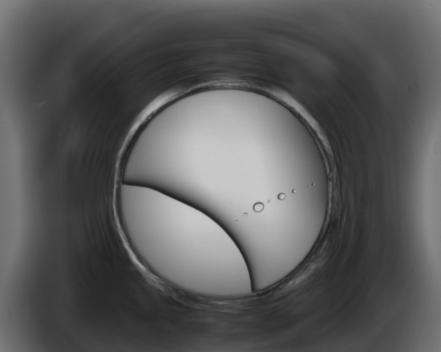X0000086031245200703230947