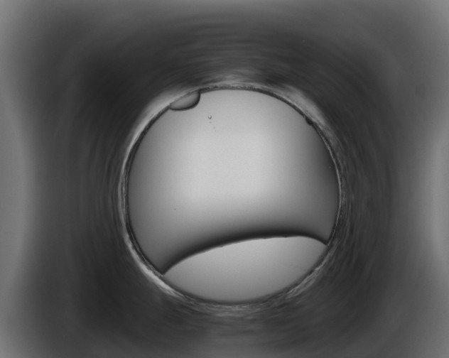 X0000086031247200703230947