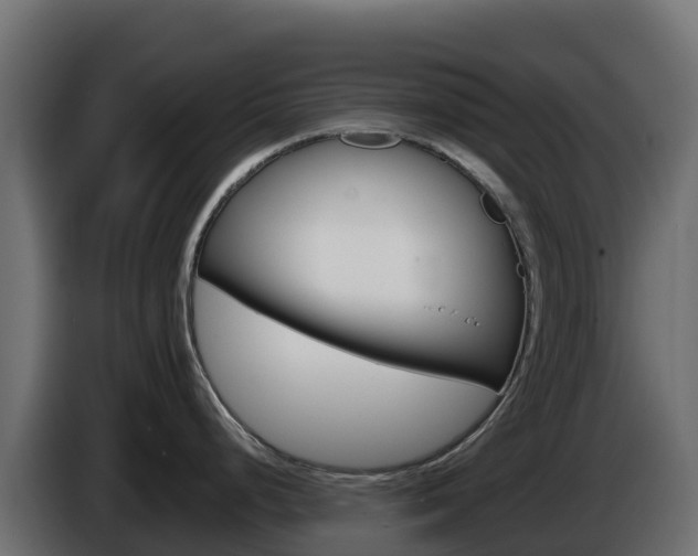 X0000086031248200703230947
