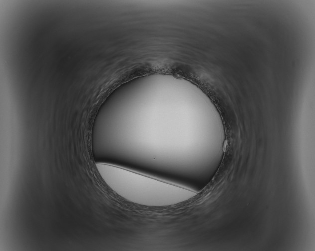 X0000086031249200703230947
