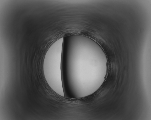 X0000086031250200703230947