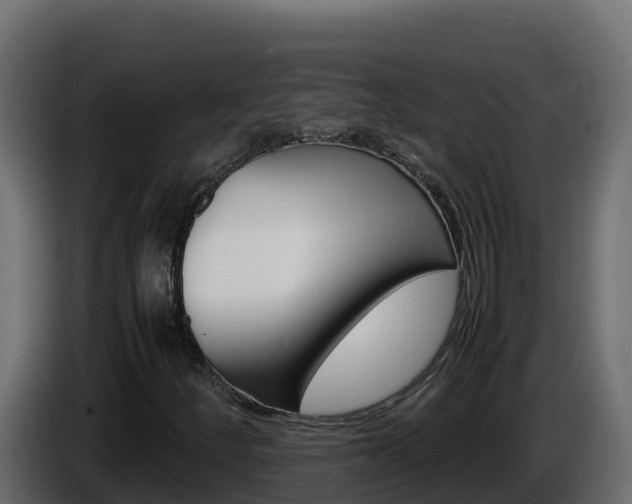 X0000086031252200703230947