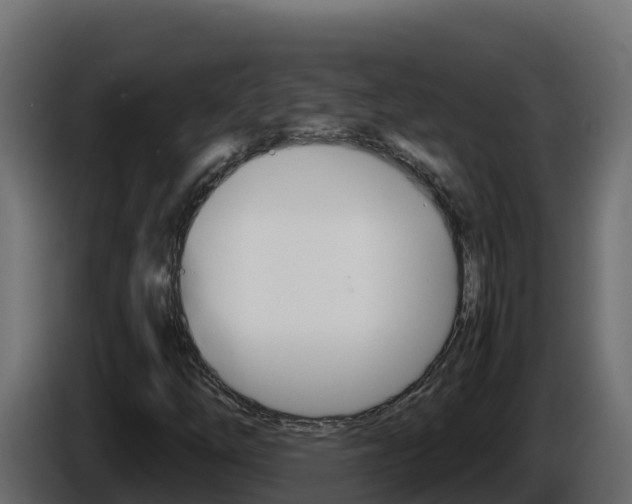 X0000086031254200703230947