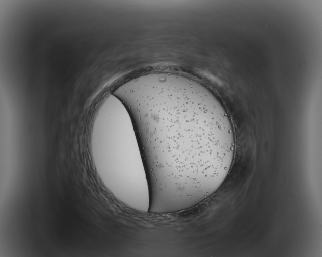 X0000086031255200703230947