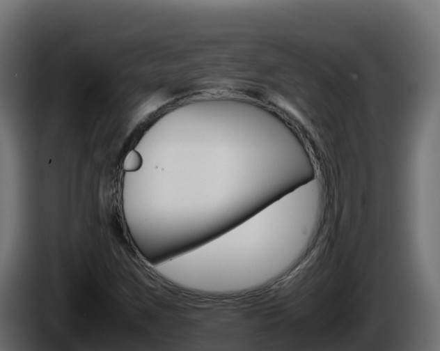 X0000086031259200703230947