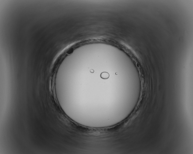 X0000086031262200703230947