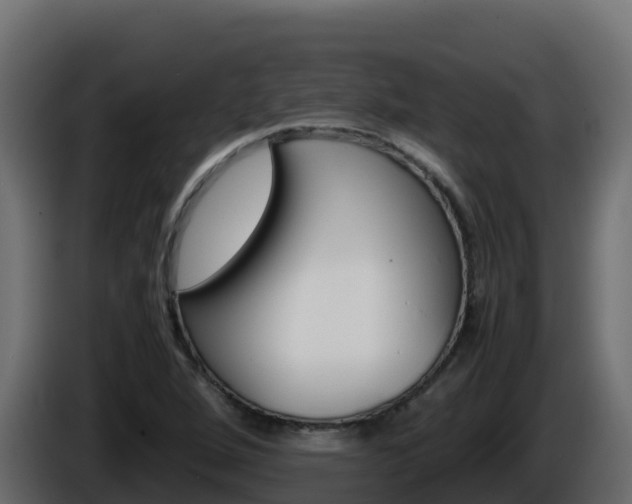 X0000086031264200703230947