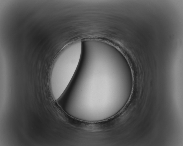 X0000086031265200703230947