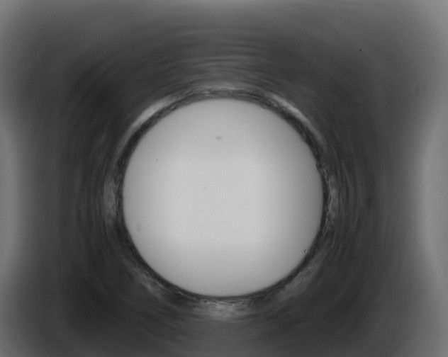 X0000086031266200703230947
