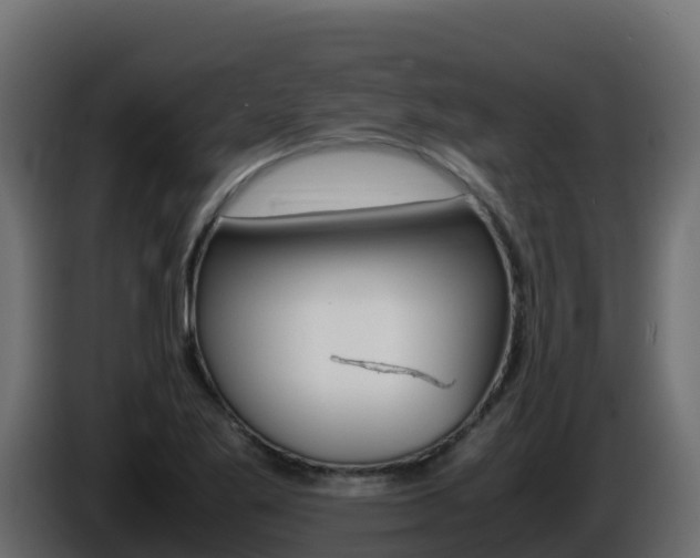 X0000086031269200703230946