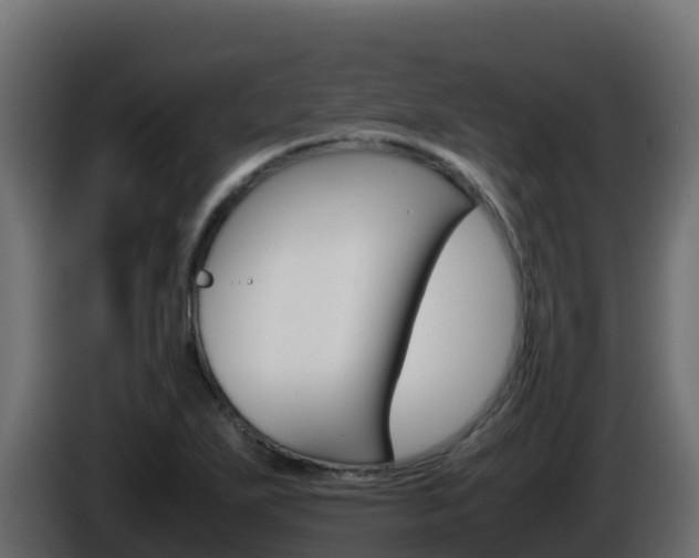 X0000086031271200703230946