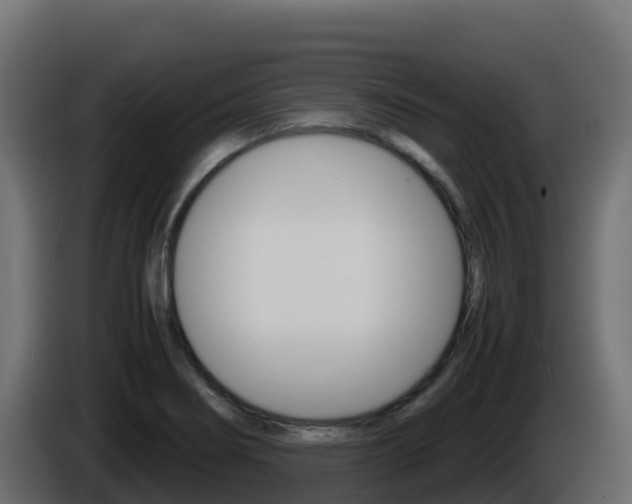 X0000086031274200703230946