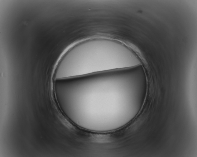 X0000086031280200703230946