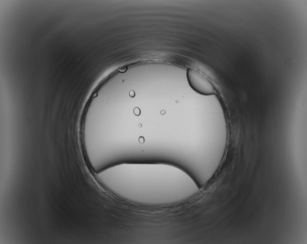 X0000086031283200703230946