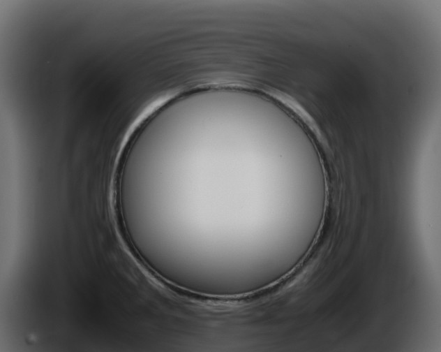 X0000086031285200703230946