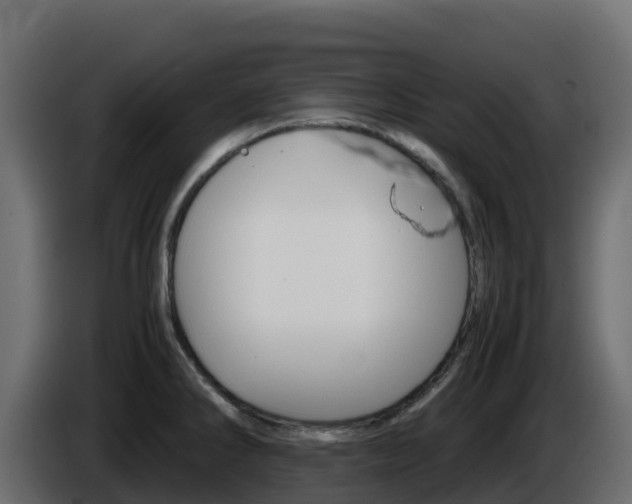 X0000086031286200703230946