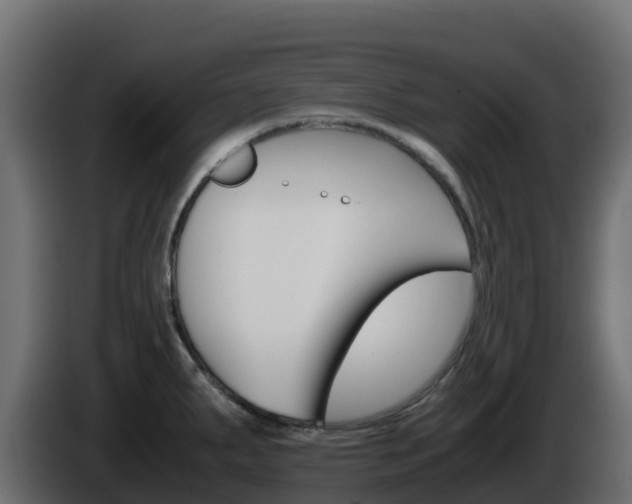 X0000086031287200703230946