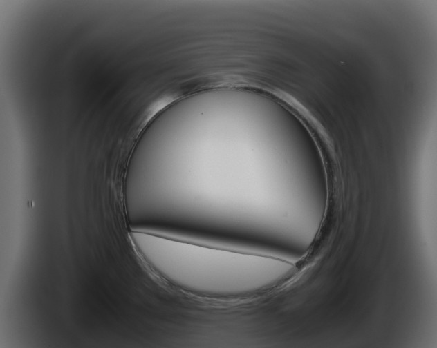 X0000086031289200703230946