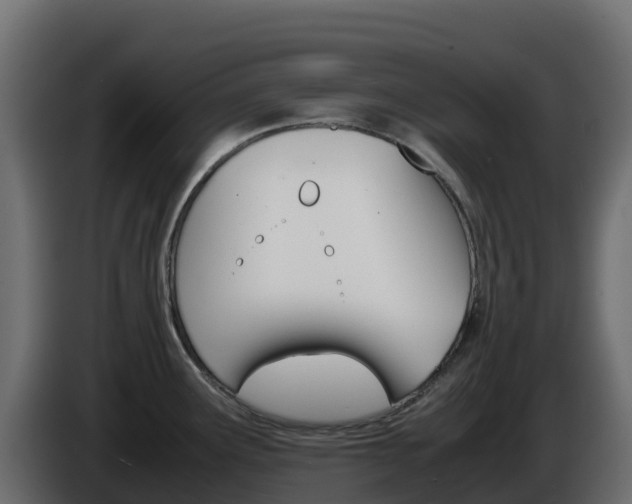 X0000086031291200703230946