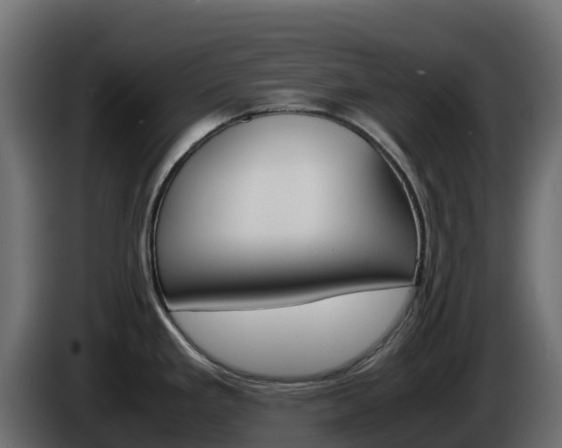 X0000086031293200703230946