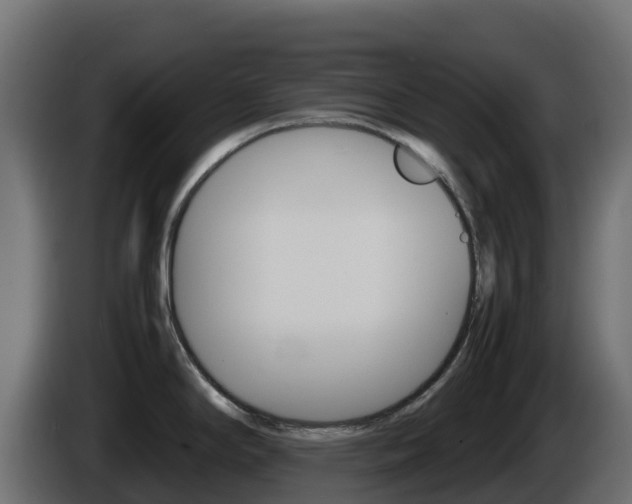 X0000086031294200703230946