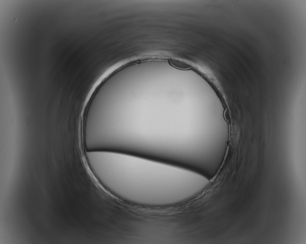 X0000086031295200703230946
