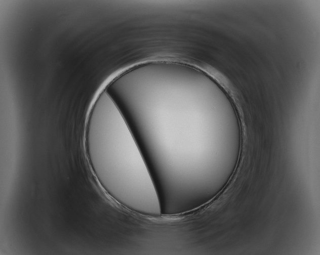 X0000086031296200703230946