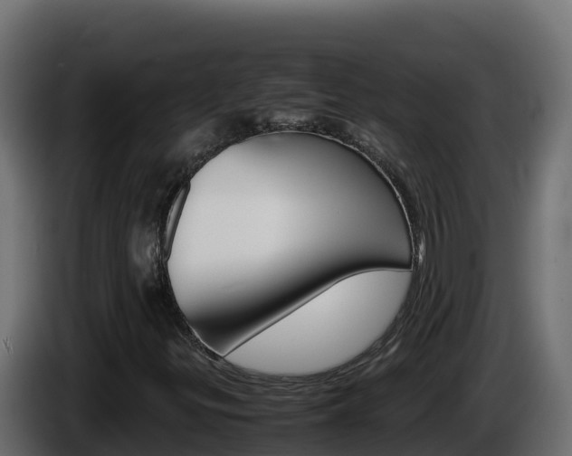 X0000086031299200703230945