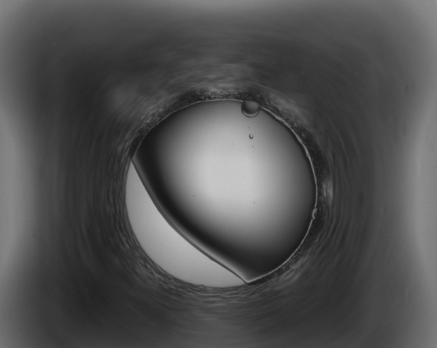 X0000086031300200703230945