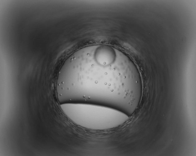 X0000086031302200703230945