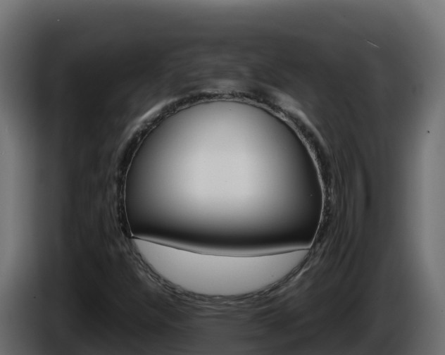 X0000086031304200703230946