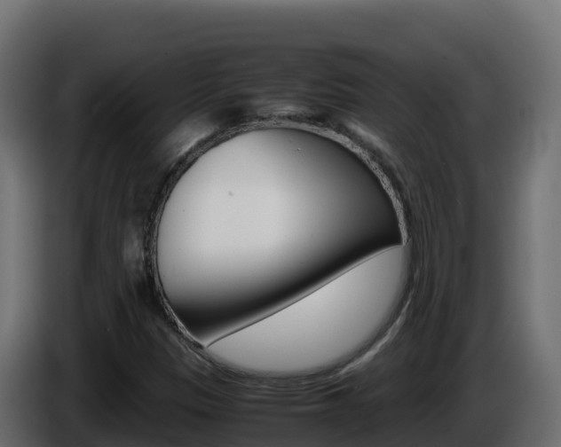X0000086031305200703230946