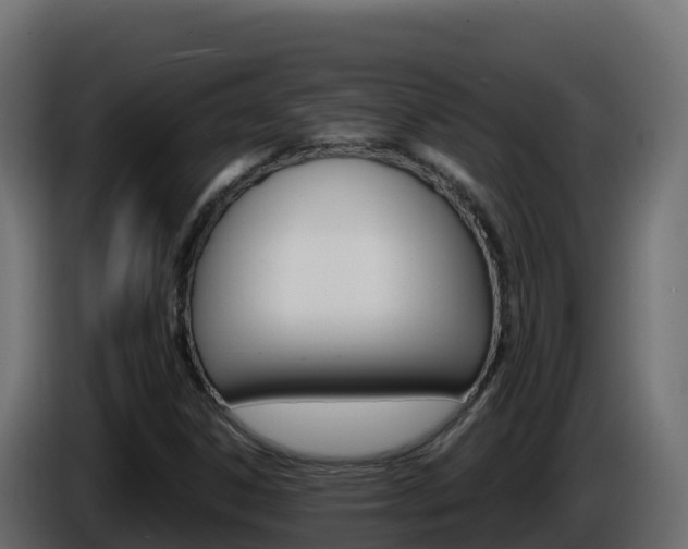 X0000086031306200703230946