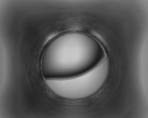X0000086031308200703230946