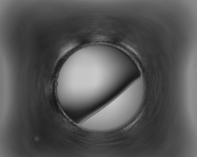X0000086031309200703230946
