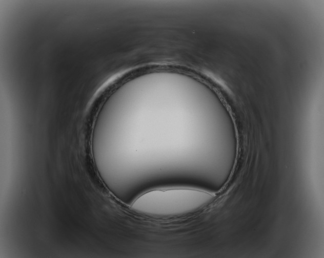 X0000086031311200703230946