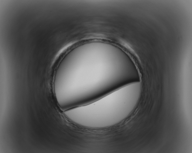 X0000086031312200703230946