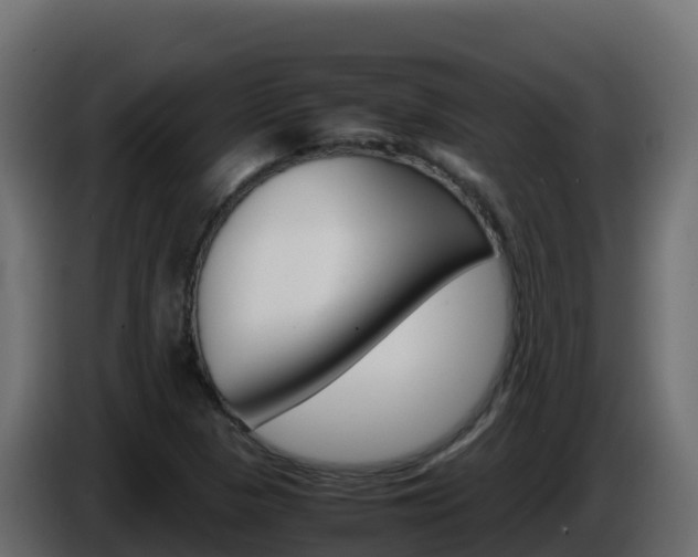 X0000086031313200703230946