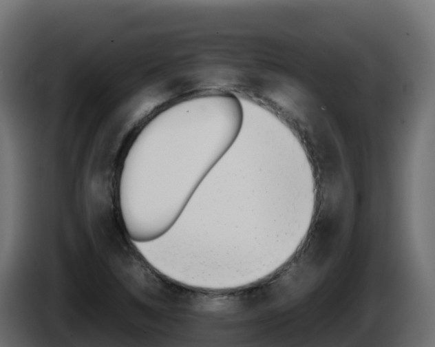 X0000086031314200703230946