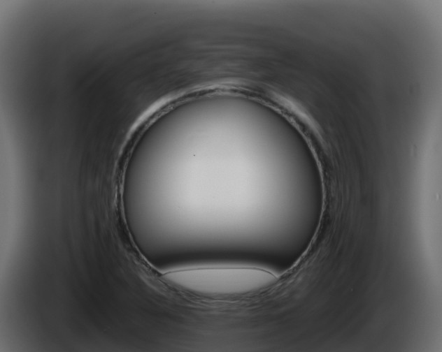 X0000086031316200703230946
