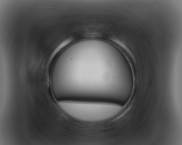 X0000086031317200703230946