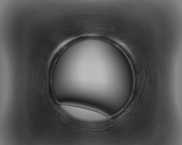 X0000086031319200703230946