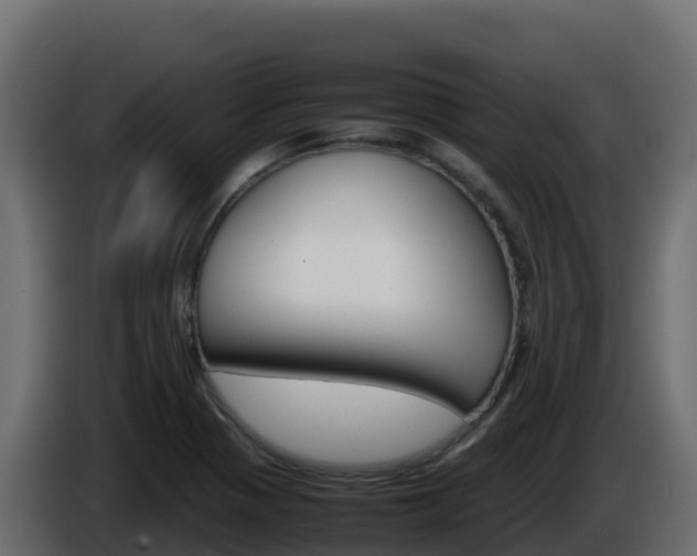 X0000086031321200703230946